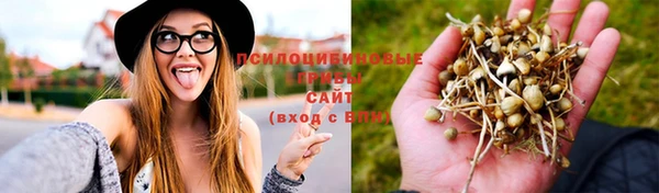 скорость Аркадак