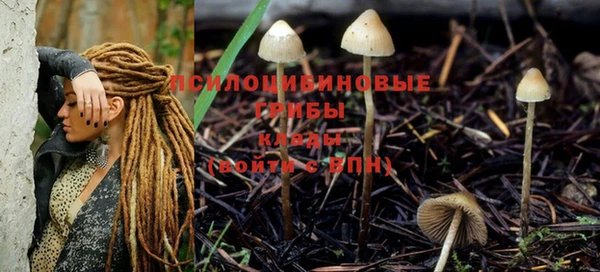 стафф Армянск